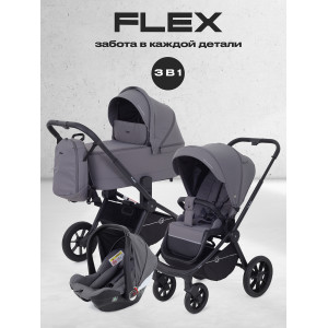 Коляска 3 в 1 Rant Flex 2025 RA077 Graphite
