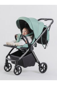 Коляска прогулочная Rant Golf Sage green