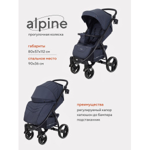 Коляска прогулочная Rant Basic Alpine Graphite