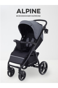Коляска прогулочная Rant Basic Alpine 2025 Graphite