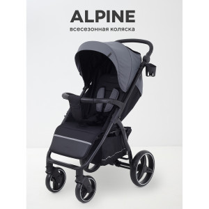 Коляска прогулочная Rant Basic Alpine 2025 Graphite