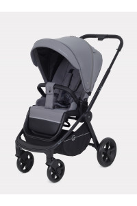Коляска прогулочная Rant Flex 2025 RA078 Grey