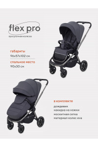 Коляска прогулочная Rant Flex Pro 2023 RA099 Graphite