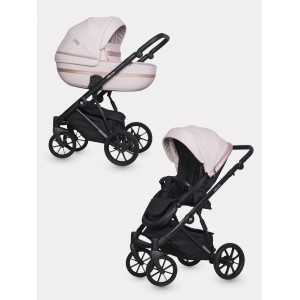 Коляска 2 в 1 Riko Basic Delta Ecco 14 rose